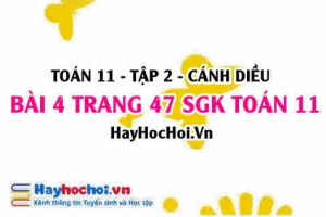Bài 4 trang 47 Toán 11 tập 2 Cánh Diều